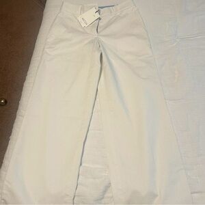 Aritzia Pants